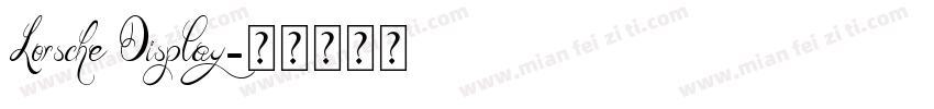 Lorsche Display字体转换